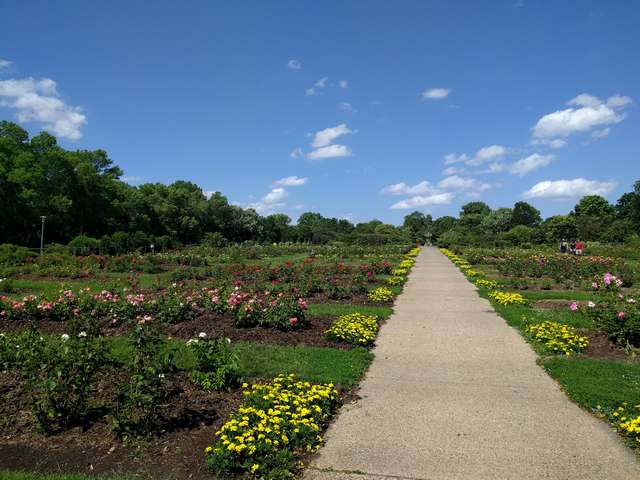 Lyndale Park Rose Garden Minneapolis