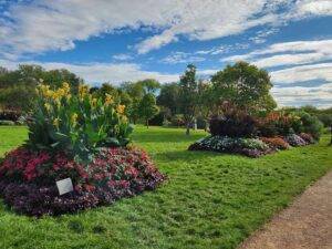 Lyndale Park Rose Garden Minneapolis