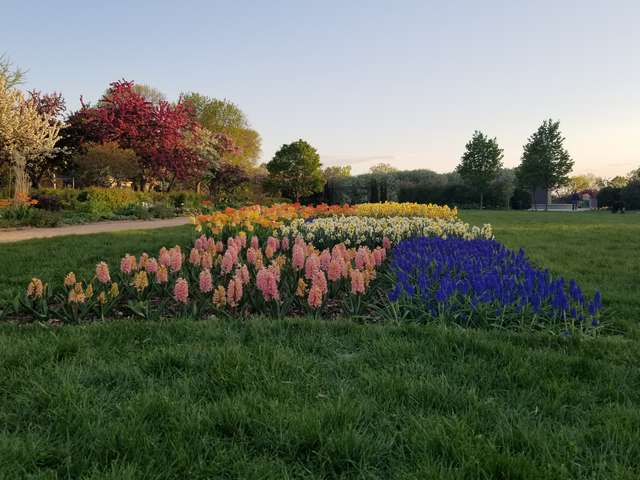 Lyndale Park Rose Garden Minneapolis