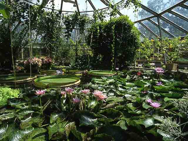 Lyon Botanical Garden