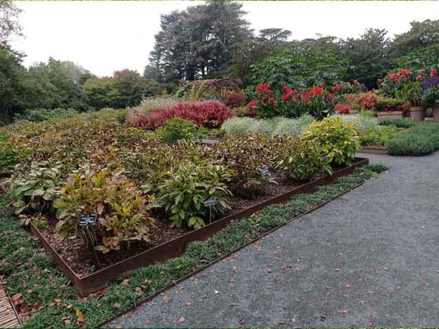 Lyon Botanical Garden