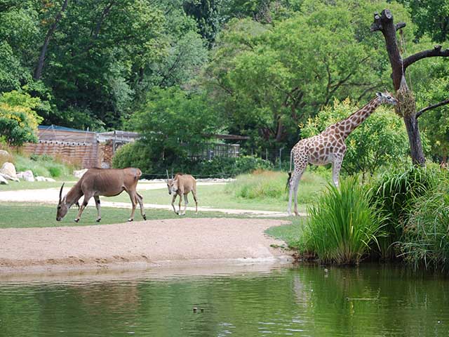 best parks in Lyon