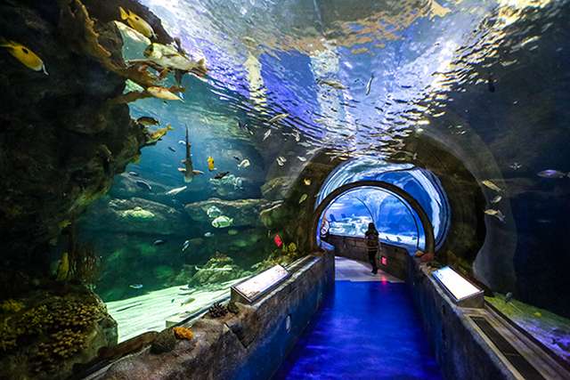 Mall of America Minneapolis