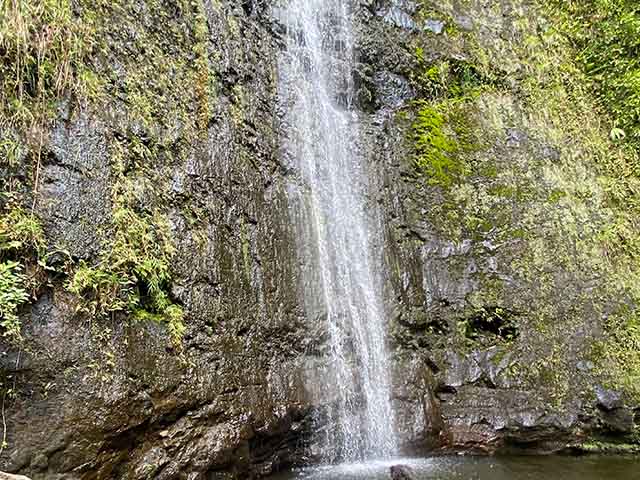 Manoa Falls Honolulu