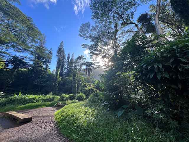 best things to do in Honolulu hi