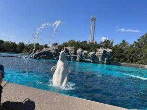 Marine Land Niagara Falls - things to do in Niagara Falls with kids
