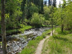 Mill Creek Ravine Forest Edmonton