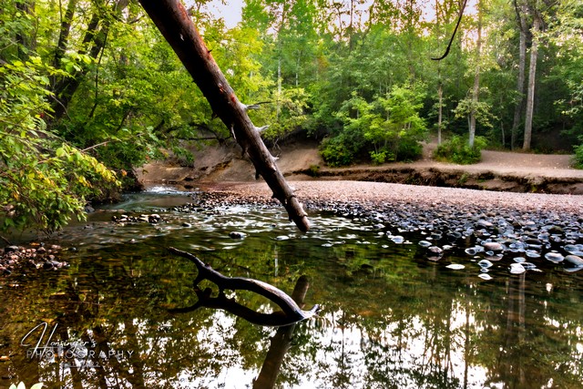 Mill Creek Ravine Forest Edmonton