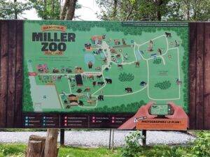 Miller Zoo Quebec City