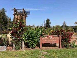 Municipal Rose Garden San Jose