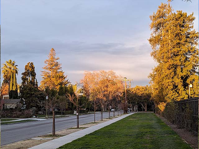 Municipal Rose Garden San Jose