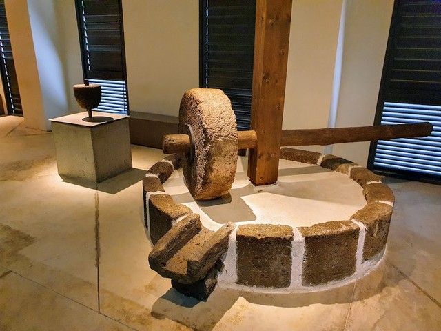Musee Stella Matutina