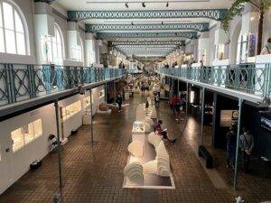 Musee d'Histoire Naturelle de Lille