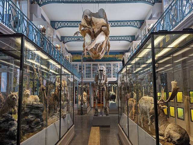 Musee d'Histoire Naturelle in Lille