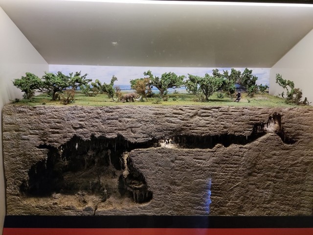 Museo Musa in Cancun