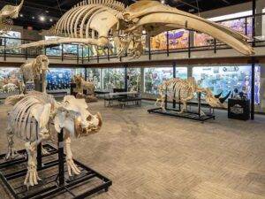 Unique places to visit in Oklahoma City