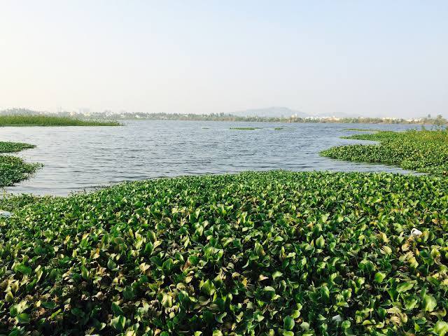 Nanmangalam Reserve Forest in Chennai