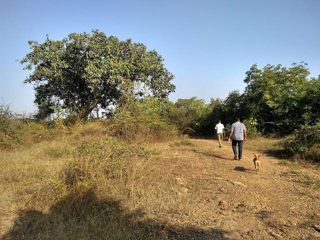 Nanmangalam Reserve Forest Chennai