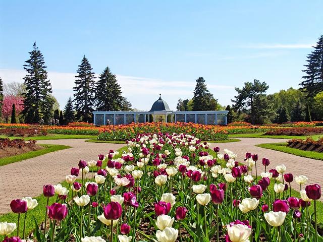 Best Free Things to Do in Niagara Falls
