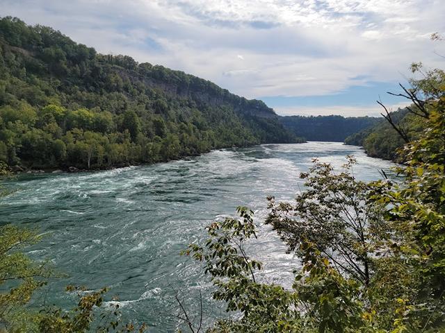 Niagara Glen Forest