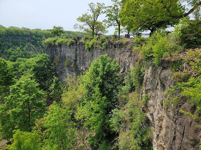 Niagara Glen Forest in Niagara Falls