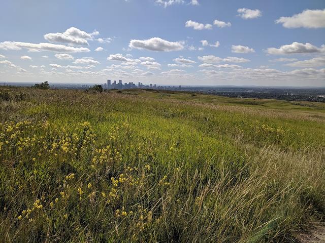 Calgary parks