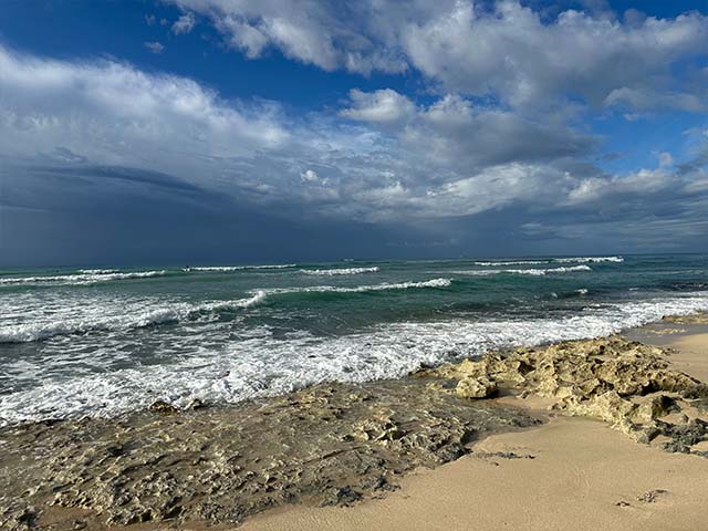 top beaches in Honolulu