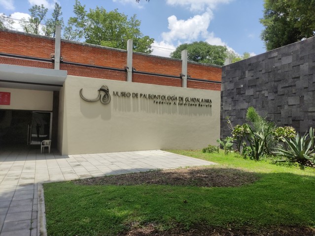 Paleontology Museum Guadalajara