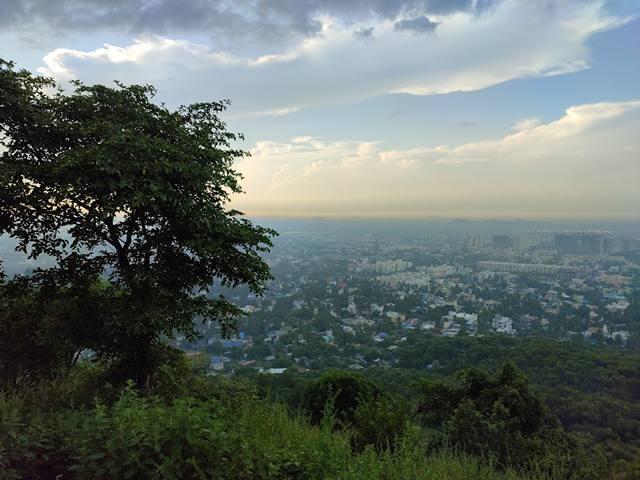 Pallavaram Forest Chennai