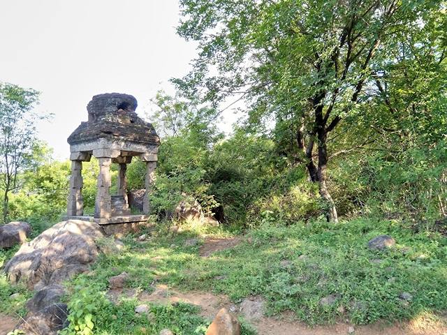 Pallavaram Forest in Chennai