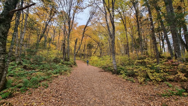 parks in Quebec City