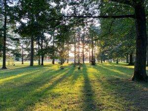 Parc de Parilly Lyon - attractions in Lyon for families