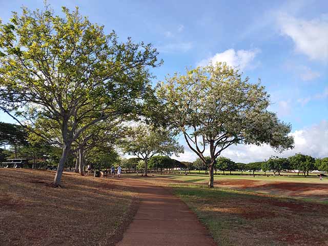 best parks in Honolulu