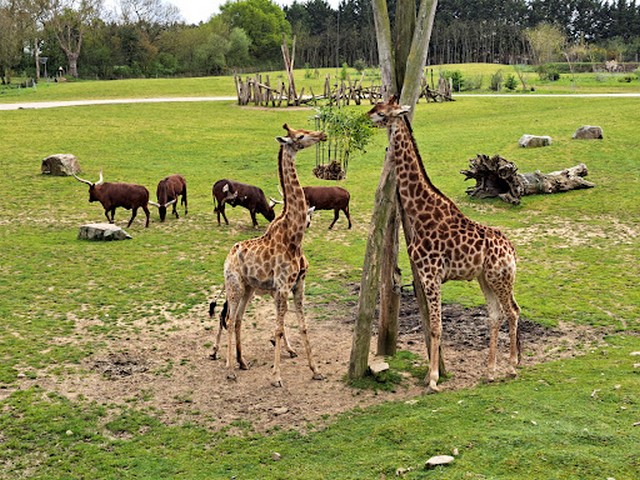 Planete Sauvage Nantes