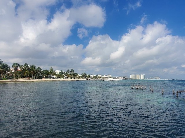 Dolphin Beach