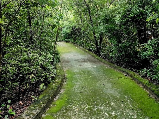 Reserva Natural Ombligo Verde in Cancun