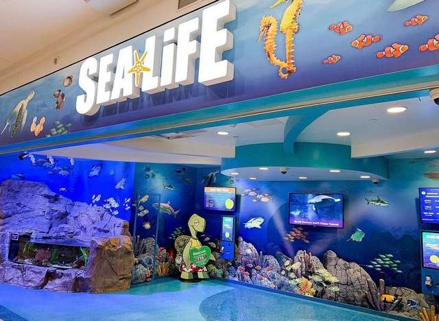 best attractions in Minneapolis