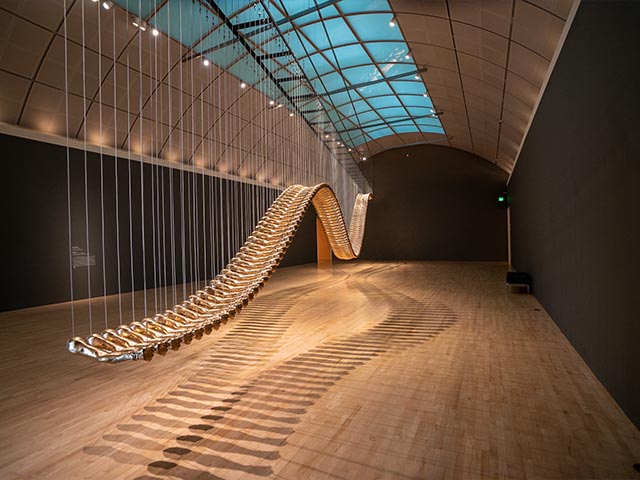 San Jose Museum of Art