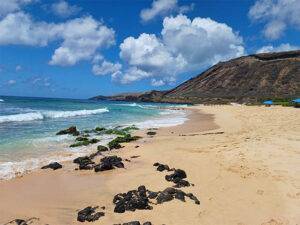 Sandy Beach Honolulu