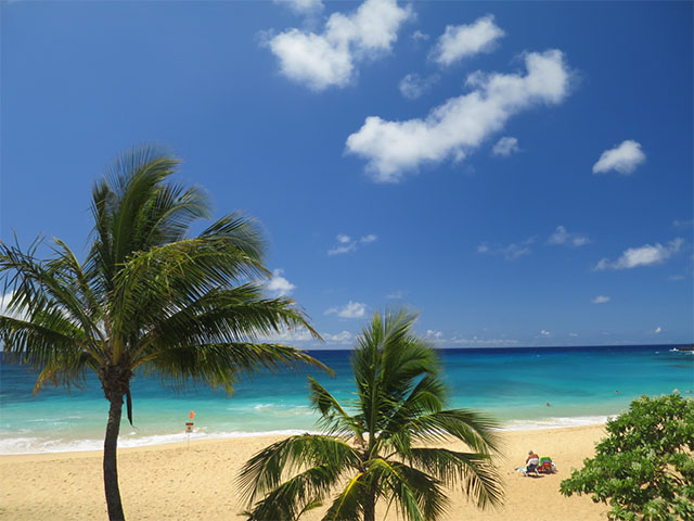 Sandy Beach Honolulu