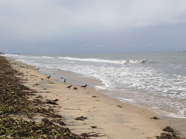 top beaches in Kochi