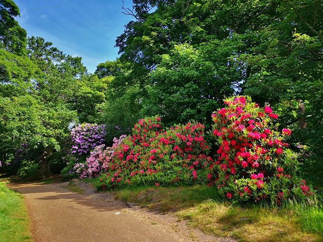 parks in Norwich