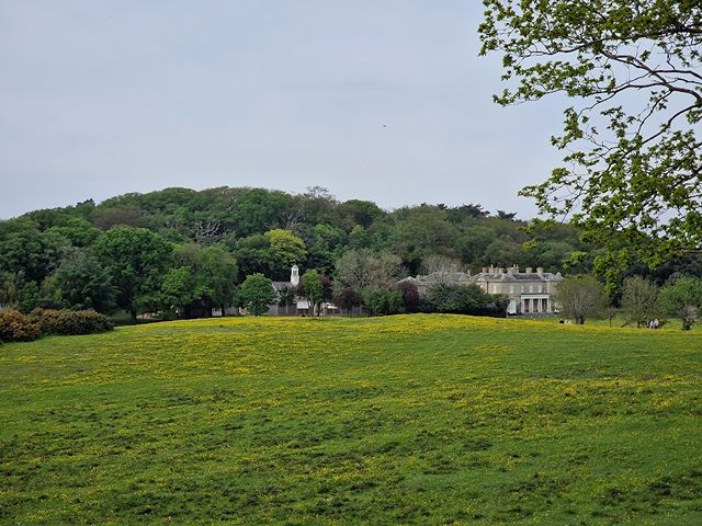 Sheringham Forest Norwich