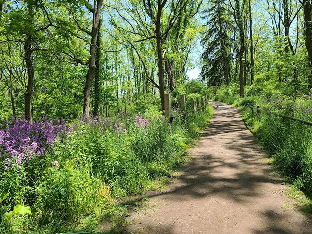Short Hills Provincial Park and Forest in Niagara Falls