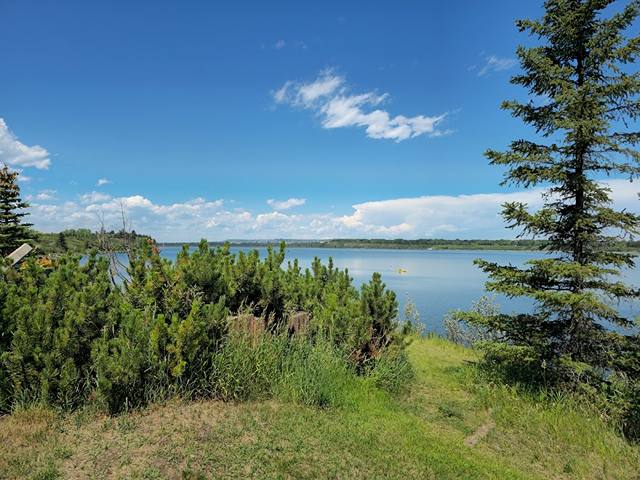 best parks in Calgary