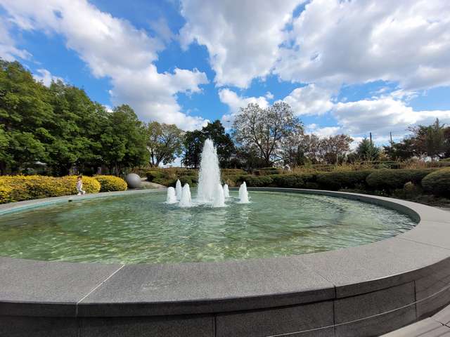 Texas Discovery Gardens Dallas