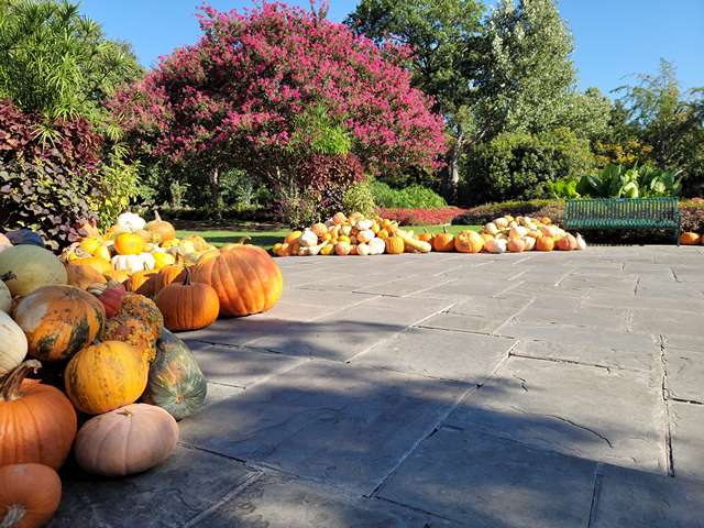 The Dallas Arboretum and Botanical Garden
