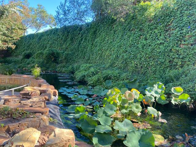 The Dallas Arboretum and Botanical Garden