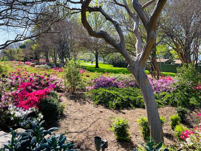 The Dallas Arboretum and Botanical Garden