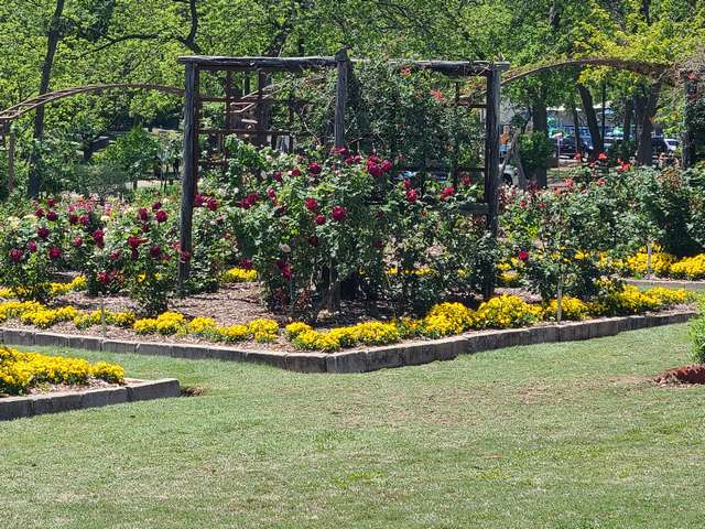 The Rose Gardens of Farmers Branch Dallas